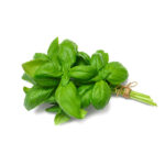 ALBAHACA