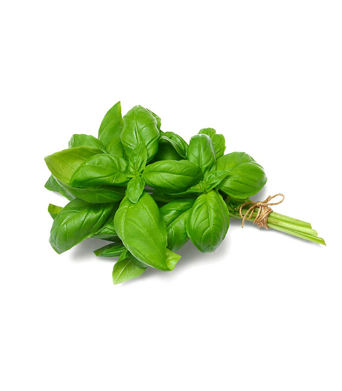 ALBAHACA