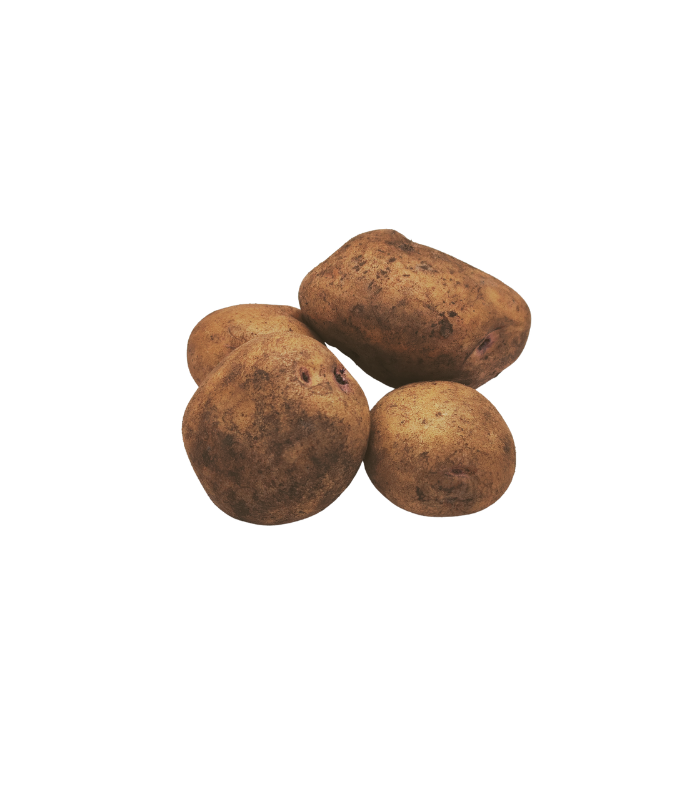 papas (1)
